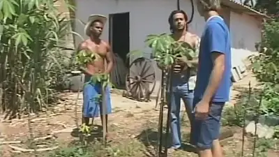 Horny Cowboys Fuck a Farmhand